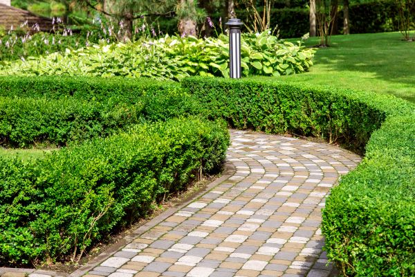 Paved Landscaping in Venice