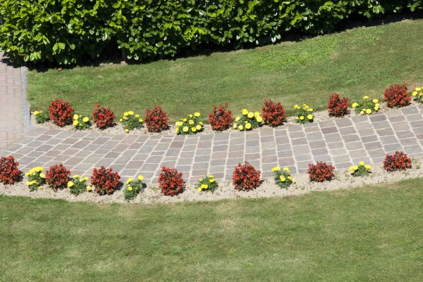 Garden Paving in Venice