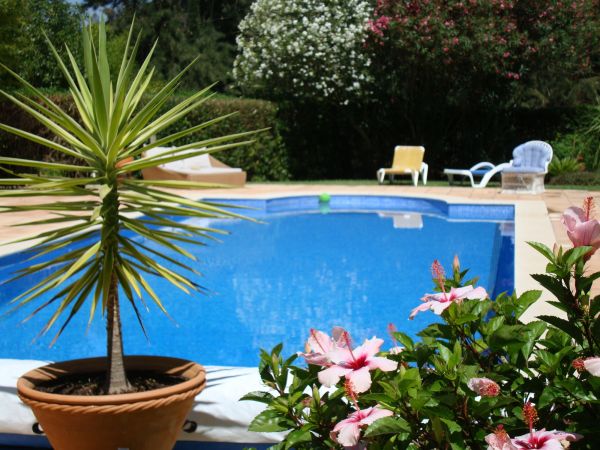 Pool Terrace Renovation in Venice